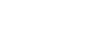 Flex Logo