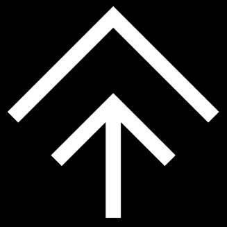 Dachstock Logo