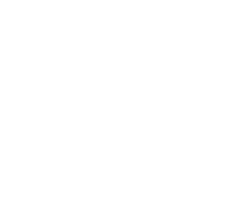 Alter Schl8hof Logo