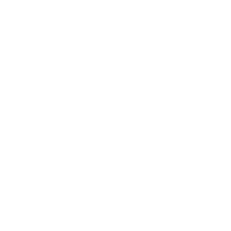 Gare de Lion Logo