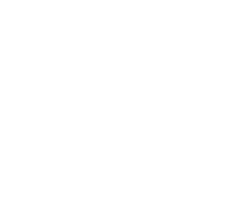 Globull Logo